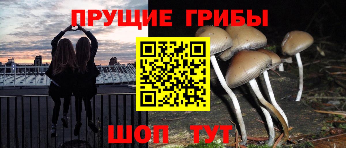 Меф мяу мяу Новокубанск